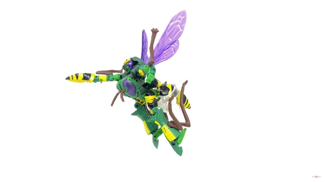 Transformers Kingdom Deluxe Class Waspinator  (13 of 28)